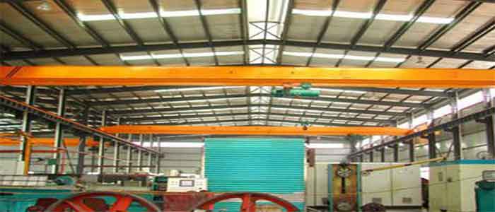 Explosion-proof Single Girder Overhead Crane