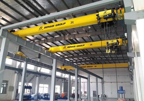 fem overhead crane