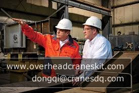 Garage overhead crane for sale