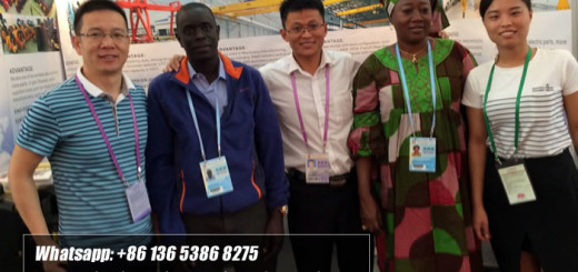 Senegal overhead crane customer