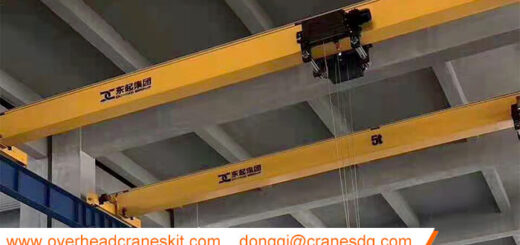 5 ton low headroom hoist overhead crane for Philippines